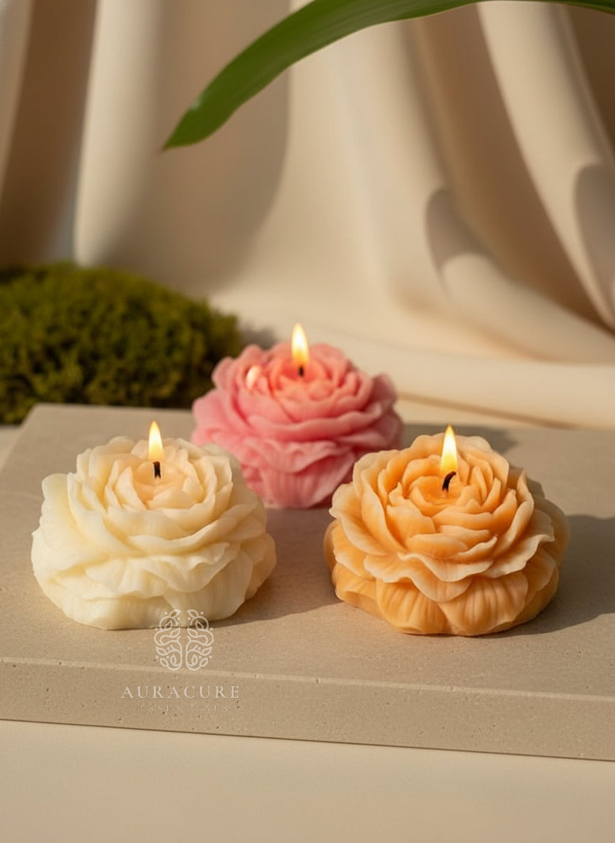 Peony Bloom Candle, Pack of 2