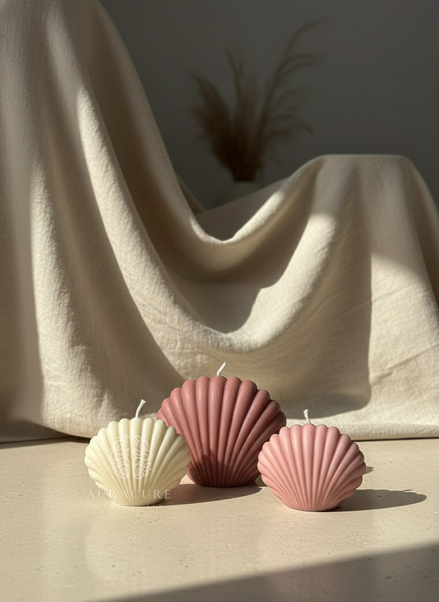 Coastal Seashell Soy Candle, Pack of 2