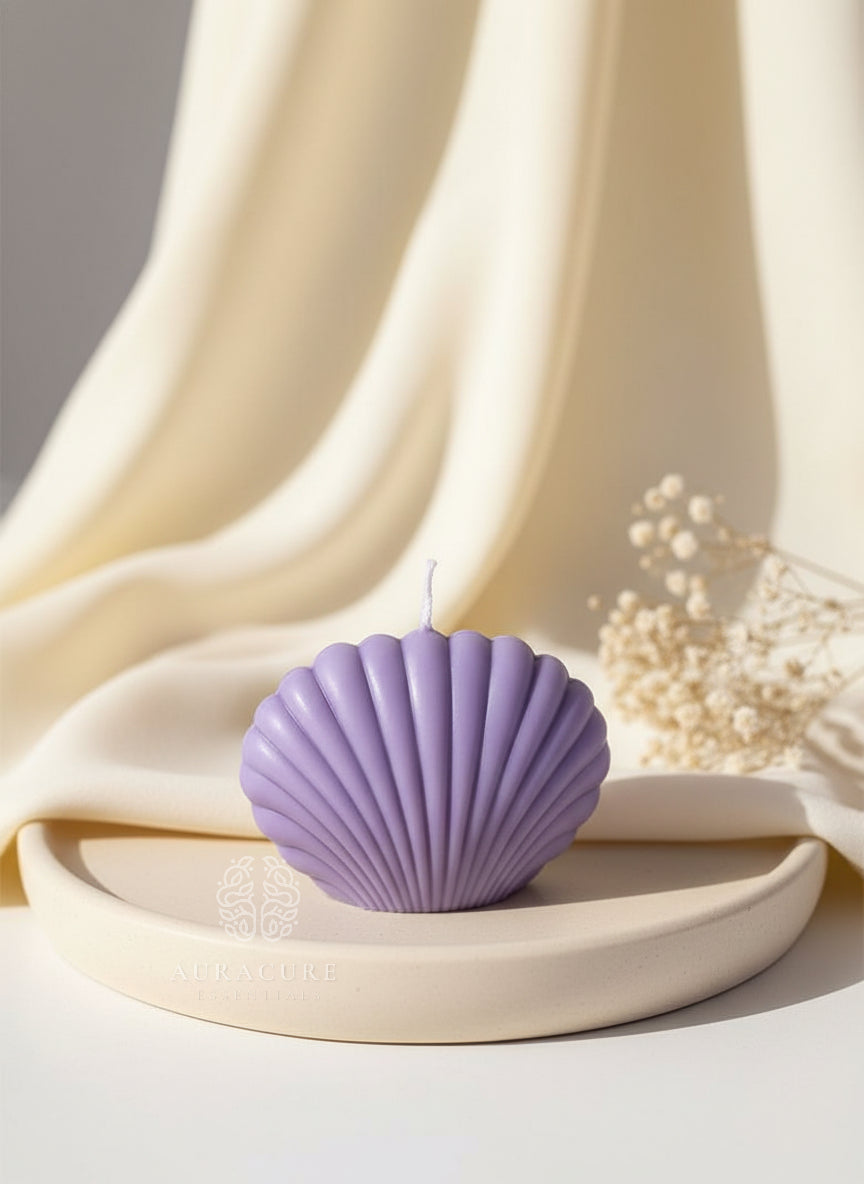 Coastal Seashell Soy Candle, Pack of 2