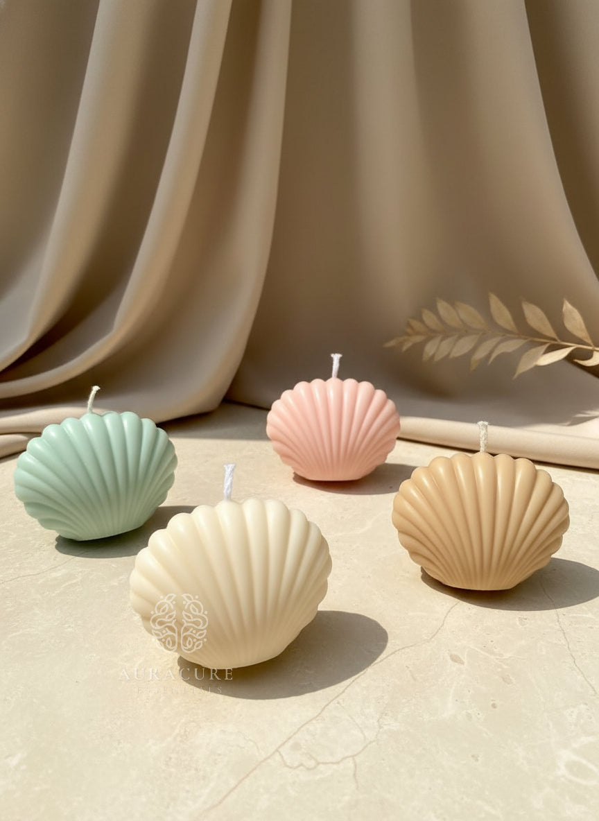Coastal Seashell Soy Candle, Pack of 2