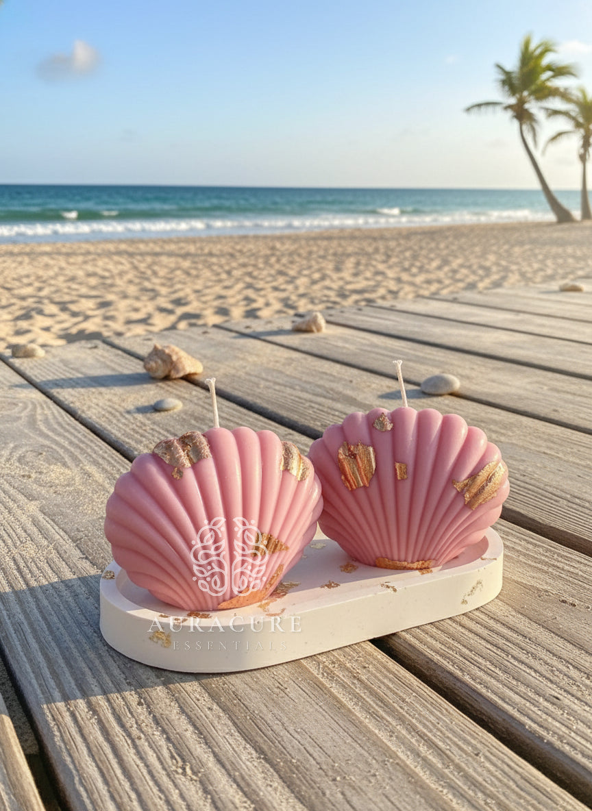 Coastal Seashell Soy Candle, Pack of 2