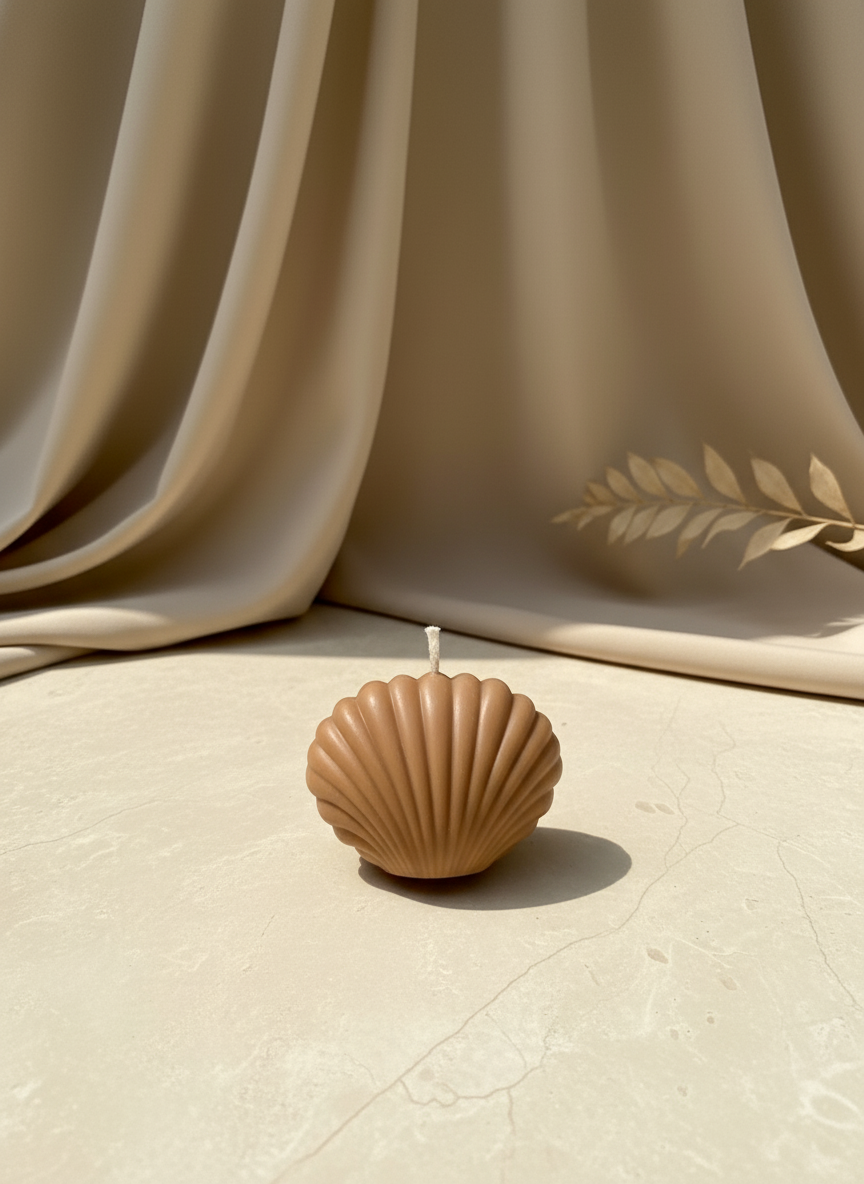 Coastal Seashell Soy Candle, Pack of 2