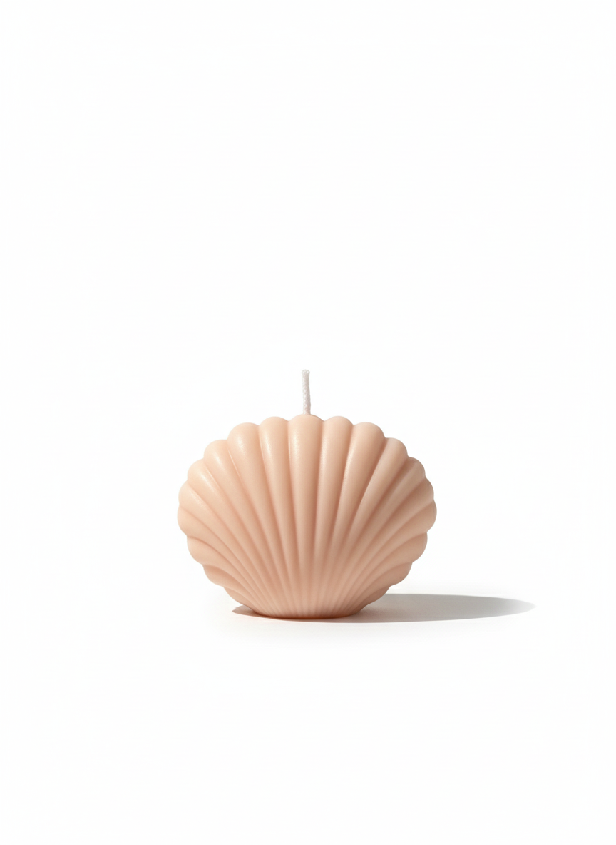 Coastal Seashell Soy Candle, Pack of 2