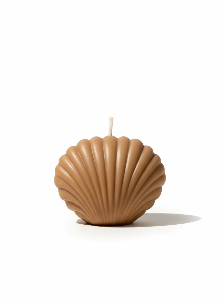 Coastal Seashell Soy Candle, Pack of 2