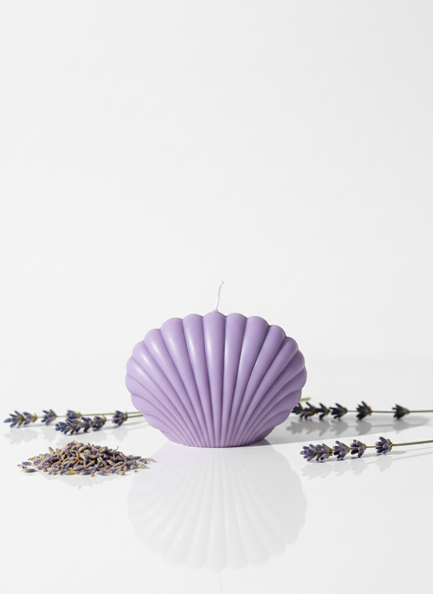 Coastal Seashell Soy Candle, Pack of 2